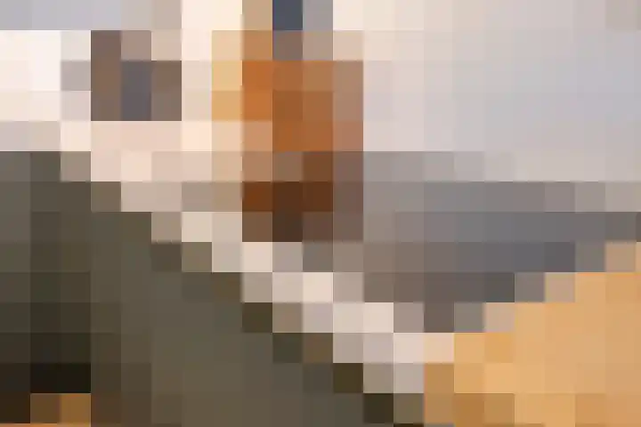 Statenkwartier 24 's-Hertogenbosch thumbnail 23