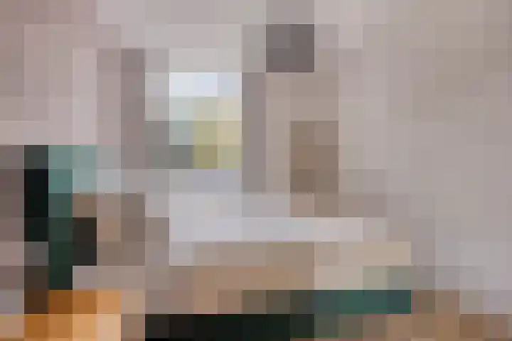 Statenkwartier 24 's-Hertogenbosch thumbnail 25