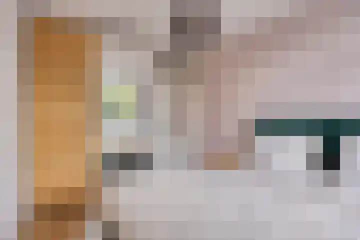 Statenkwartier 24 's-Hertogenbosch thumbnail 26