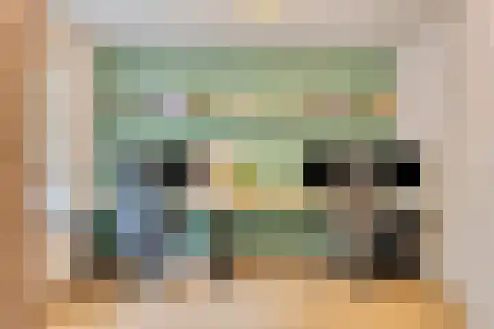Statenkwartier 24 's-Hertogenbosch thumbnail 27