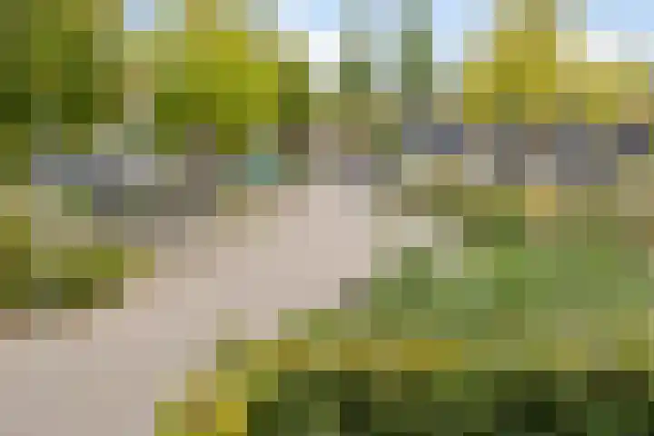 Statenkwartier 24 's-Hertogenbosch thumbnail 33