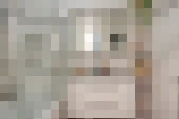 Statenkwartier 24 's-Hertogenbosch thumbnail 5