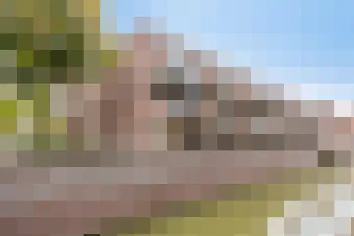 Statenkwartier 24 's-Hertogenbosch thumbnail 6