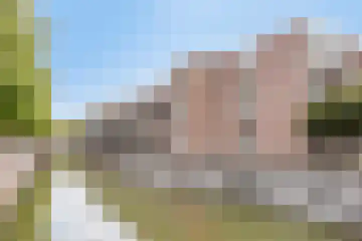 Statenkwartier 24 's-Hertogenbosch thumbnail 7