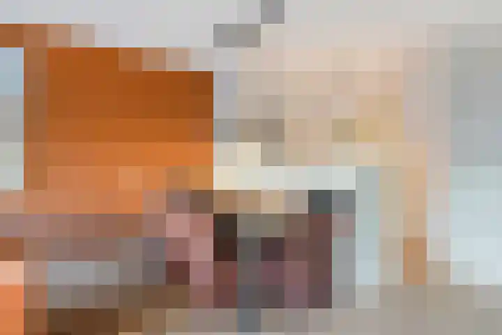 Statenkwartier 5 's-Hertogenbosch thumbnail 13