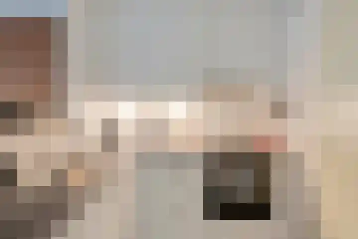 Statenkwartier 5 's-Hertogenbosch thumbnail 15