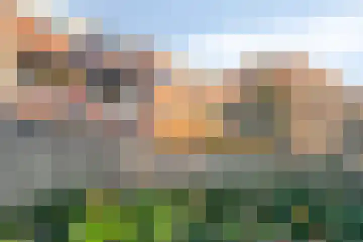 Statenkwartier 5 's-Hertogenbosch thumbnail 27