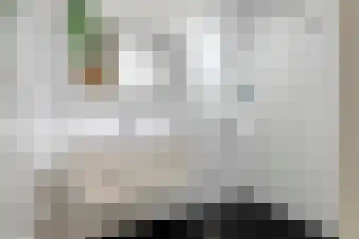 Statenkwartier 5 's-Hertogenbosch thumbnail 5