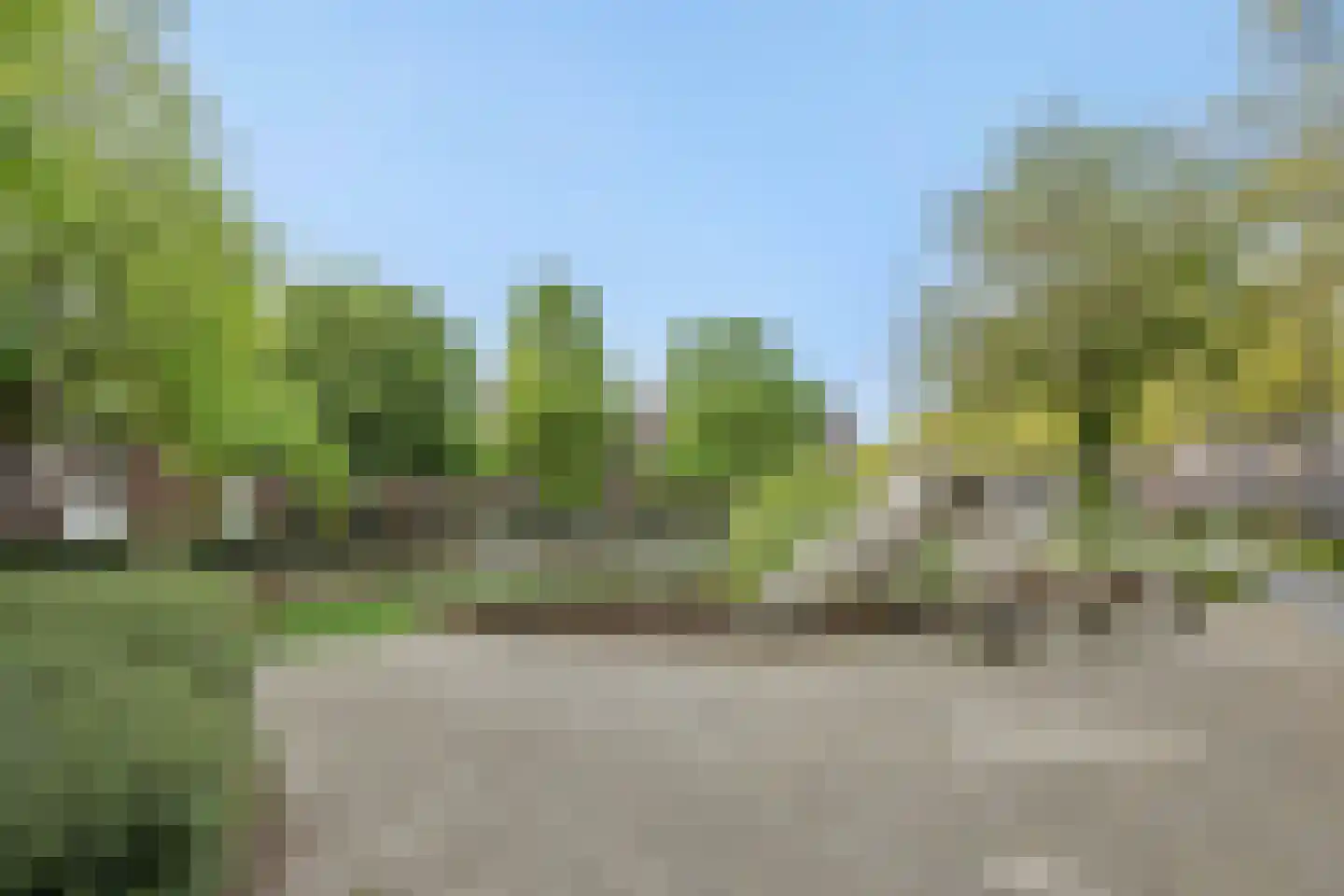 Statenkwartier 62 's-Hertogenbosch thumbnail 17
