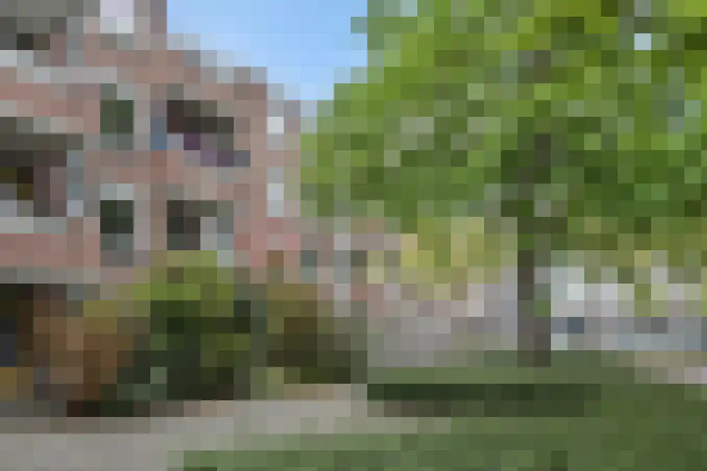 Statenkwartier 62 's-Hertogenbosch thumbnail 18