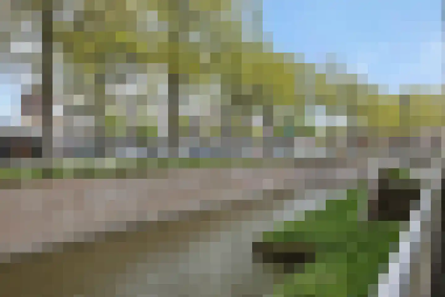 Statenkwartier 62 's-Hertogenbosch thumbnail 19