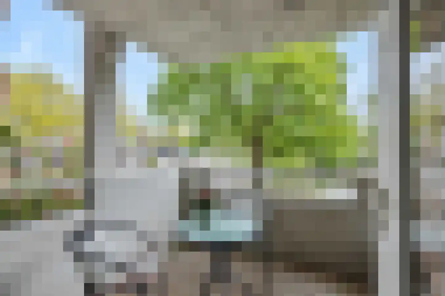 Statenkwartier 62 's-Hertogenbosch thumbnail 7