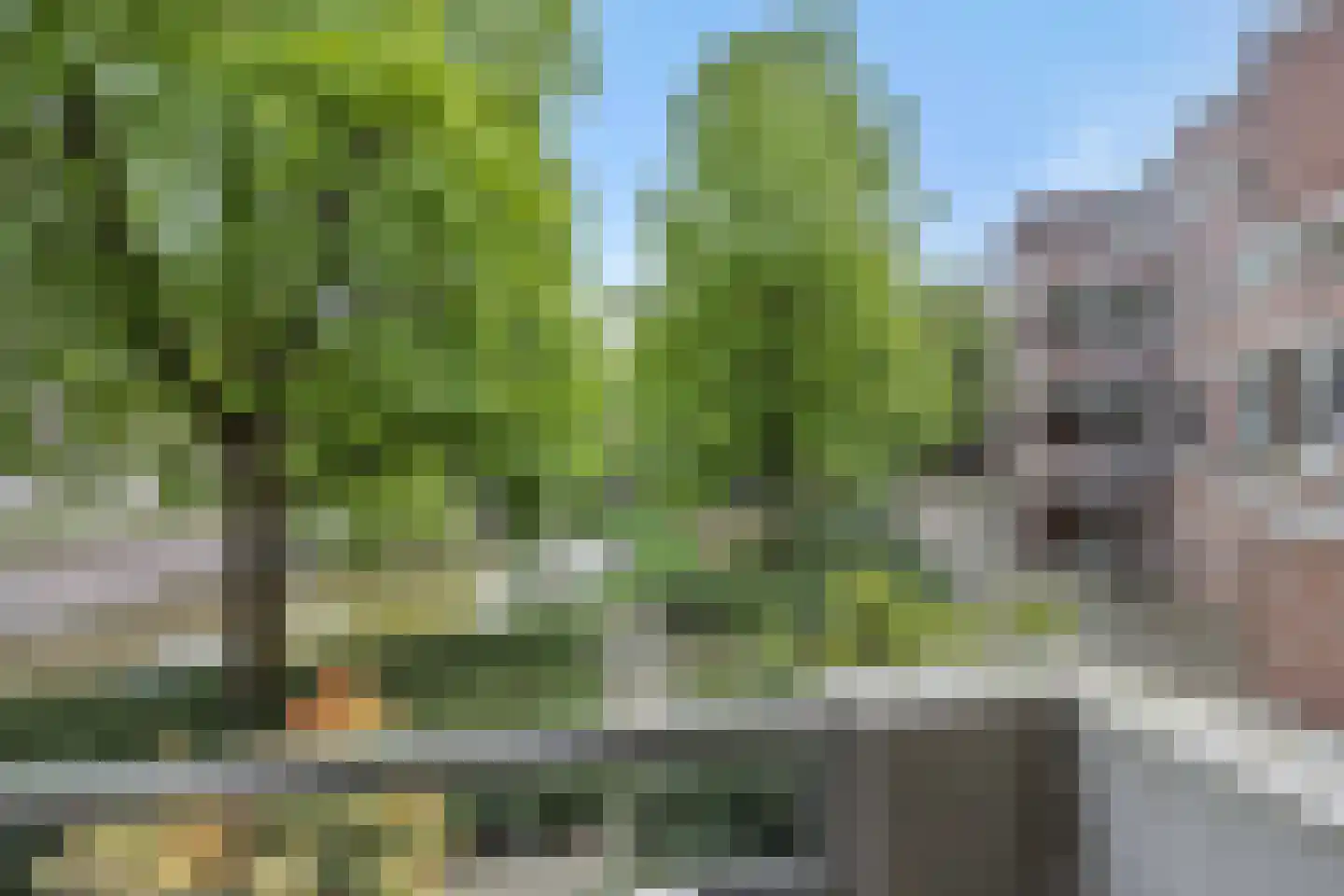Statenkwartier 62 's-Hertogenbosch thumbnail 8