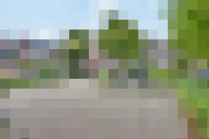 Statenkwartier 7 's-Hertogenbosch thumbnail 21
