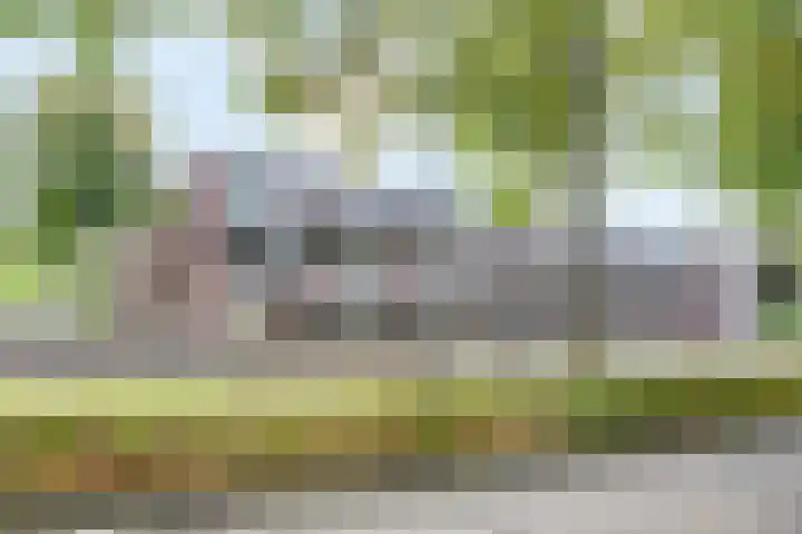 Statenkwartier 7 's-Hertogenbosch thumbnail 22