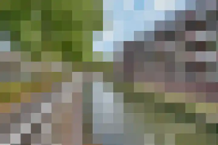 Statenkwartier 7 's-Hertogenbosch thumbnail 24