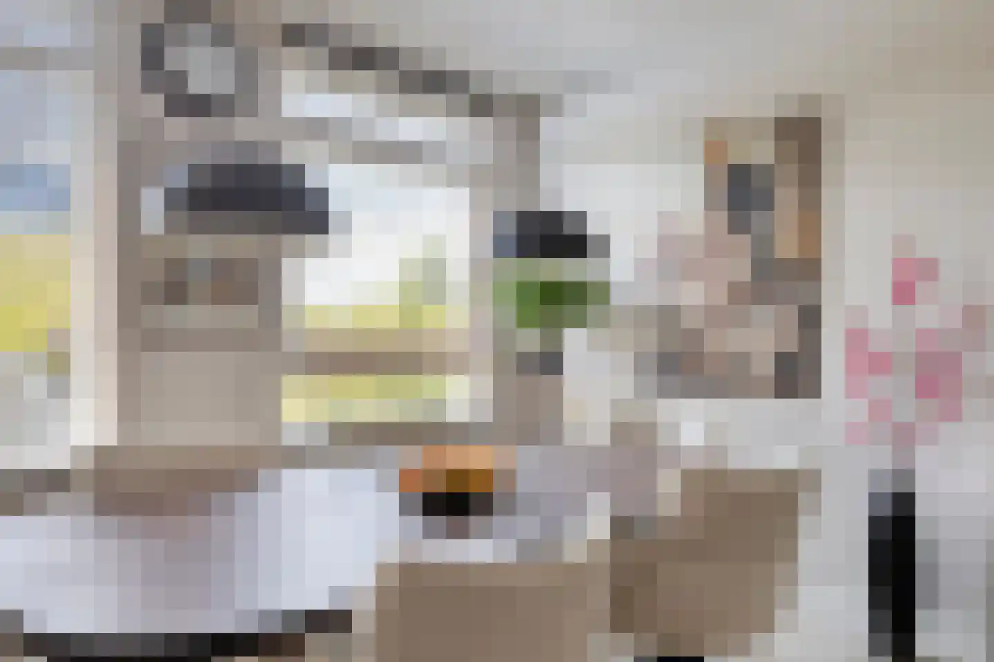 Statenkwartier 86 's-Hertogenbosch thumbnail 16