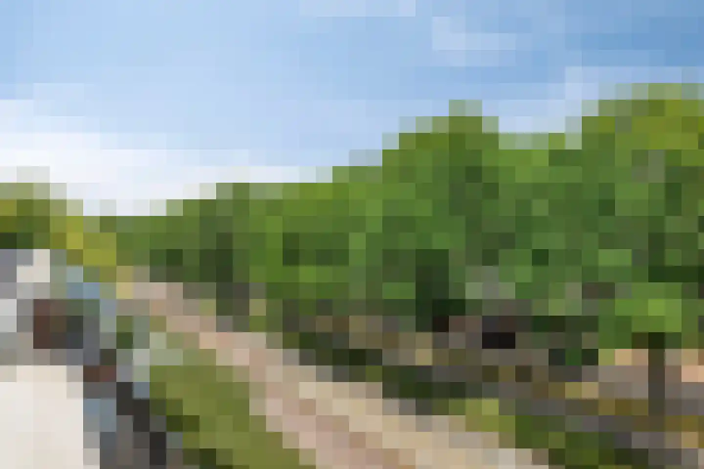 Statenkwartier 86 's-Hertogenbosch thumbnail 30