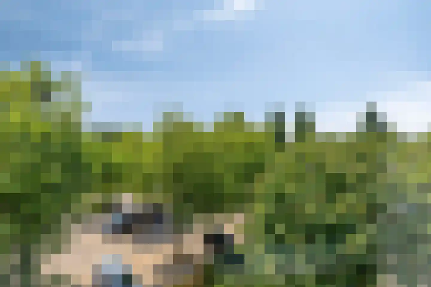 Statenkwartier 86 's-Hertogenbosch thumbnail 31