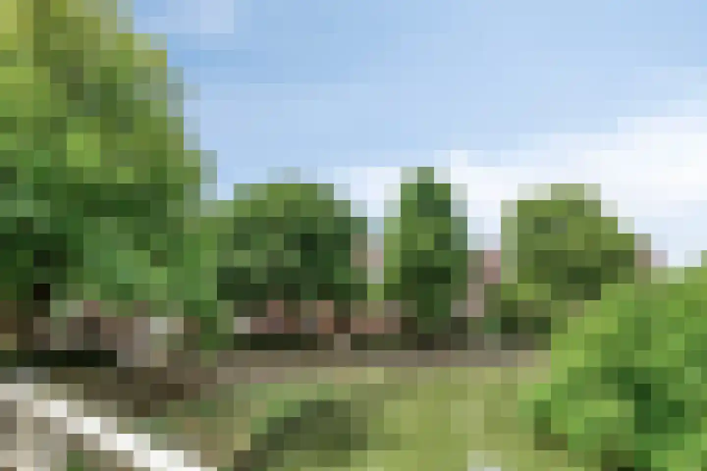 Statenkwartier 86 's-Hertogenbosch thumbnail 34