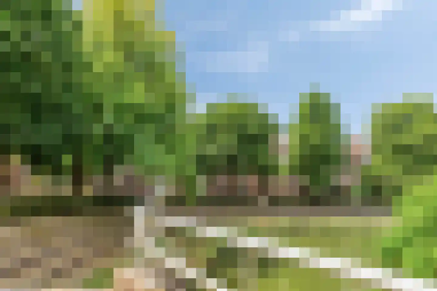 Statenkwartier 86 's-Hertogenbosch thumbnail 35