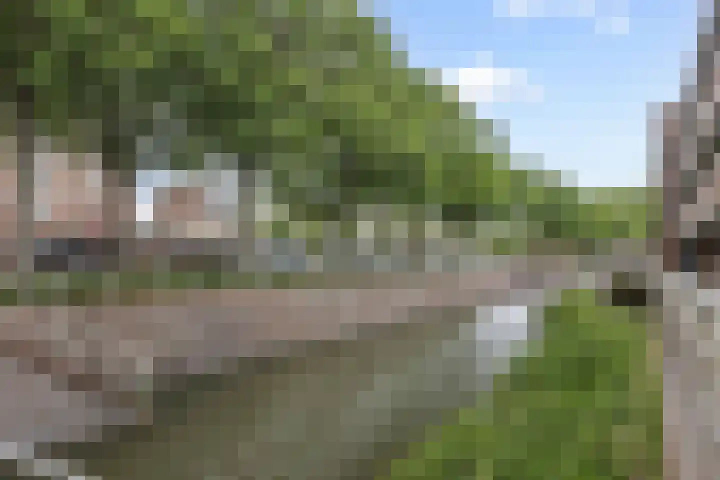Statenkwartier 90 's-Hertogenbosch thumbnail 21