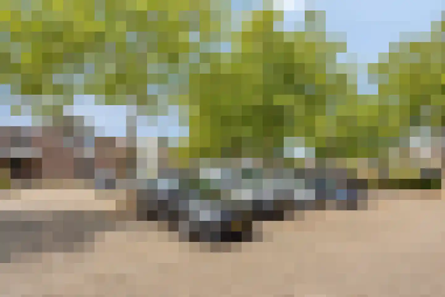 Statenkwartier 92 's-Hertogenbosch thumbnail 27