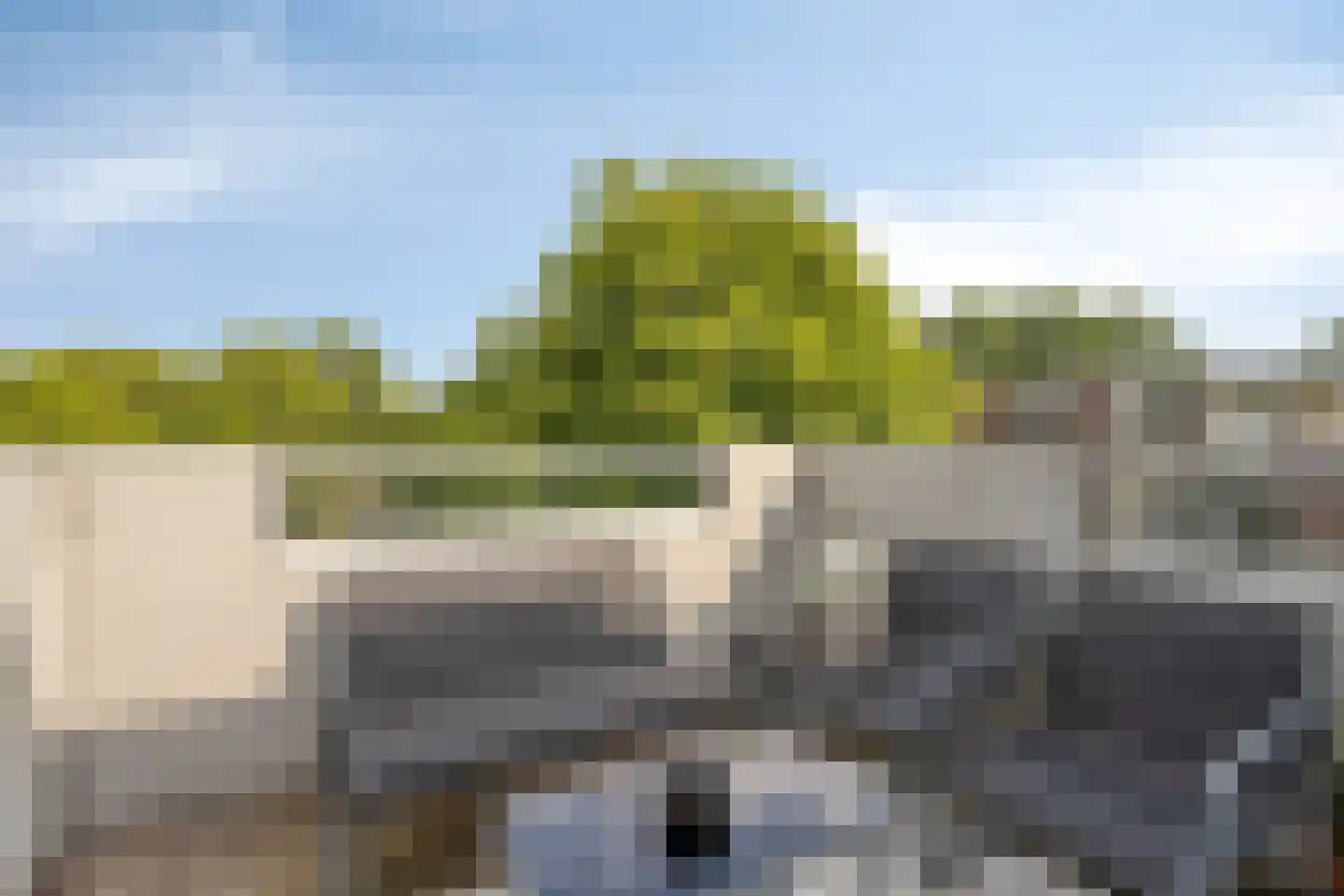 Statenkwartier 96 's-Hertogenbosch thumbnail 13