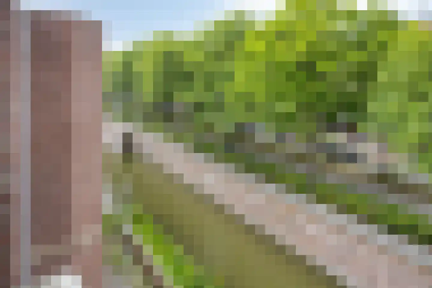 Statenkwartier 96 's-Hertogenbosch thumbnail 15