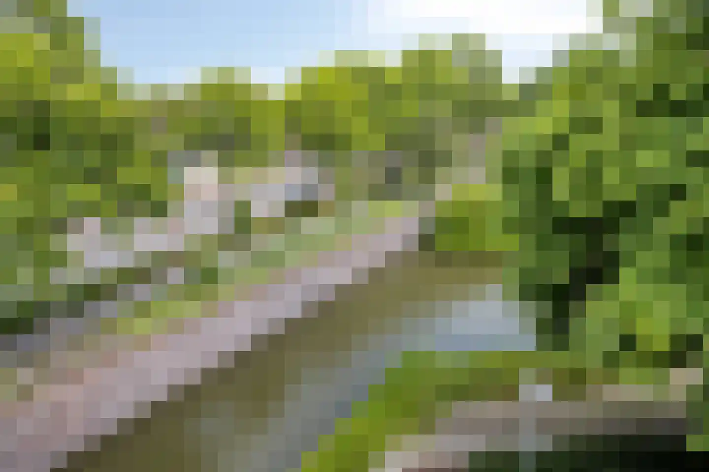 Statenkwartier 96 's-Hertogenbosch thumbnail 16
