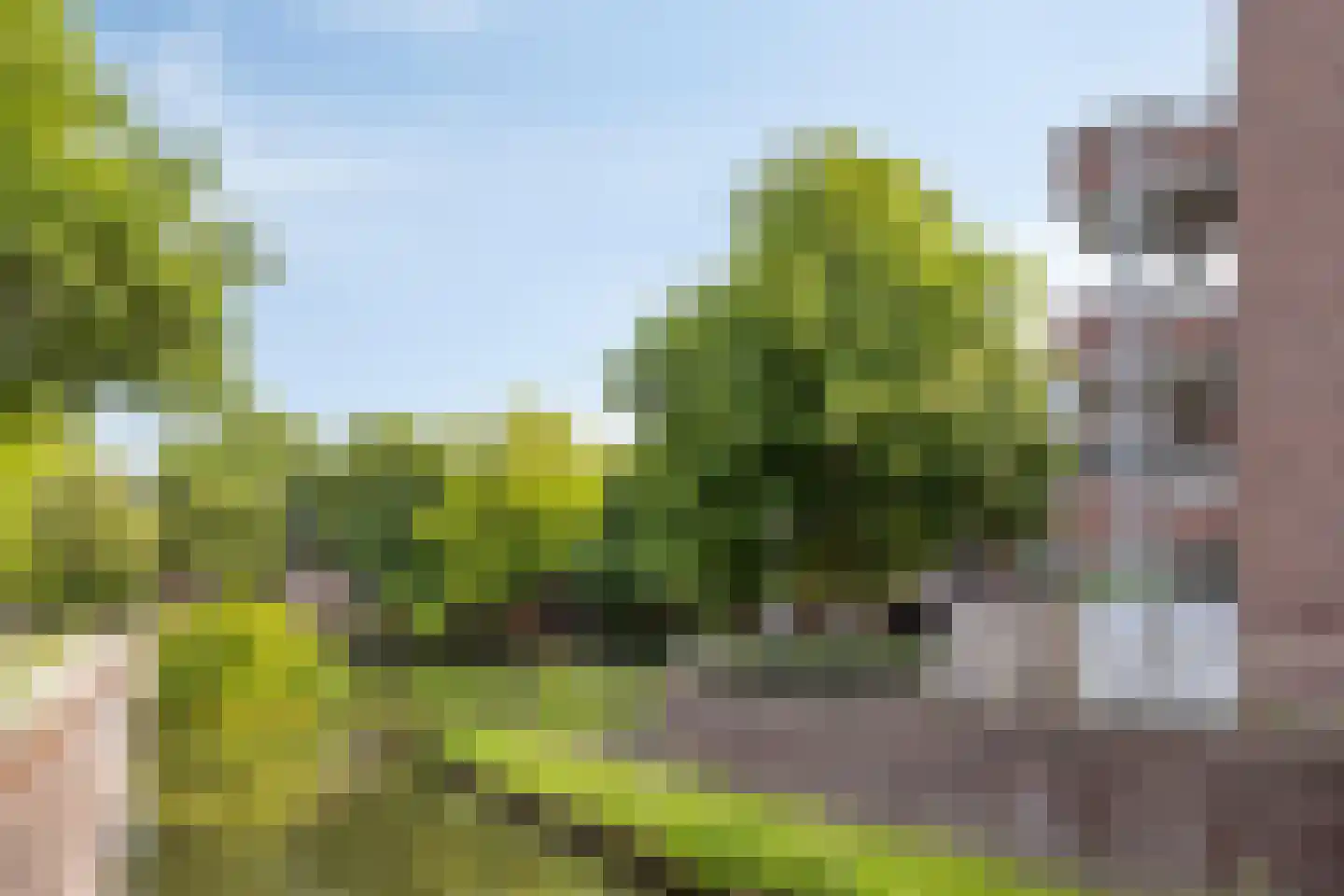 Statenkwartier 96 's-Hertogenbosch thumbnail 27