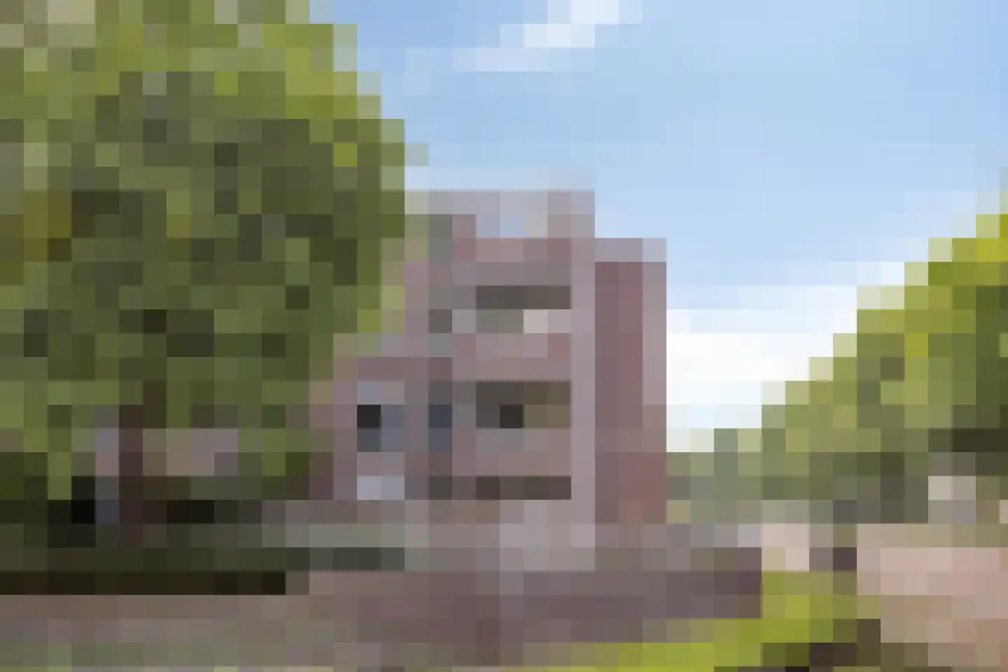 Statenkwartier 96 's-Hertogenbosch thumbnail 28