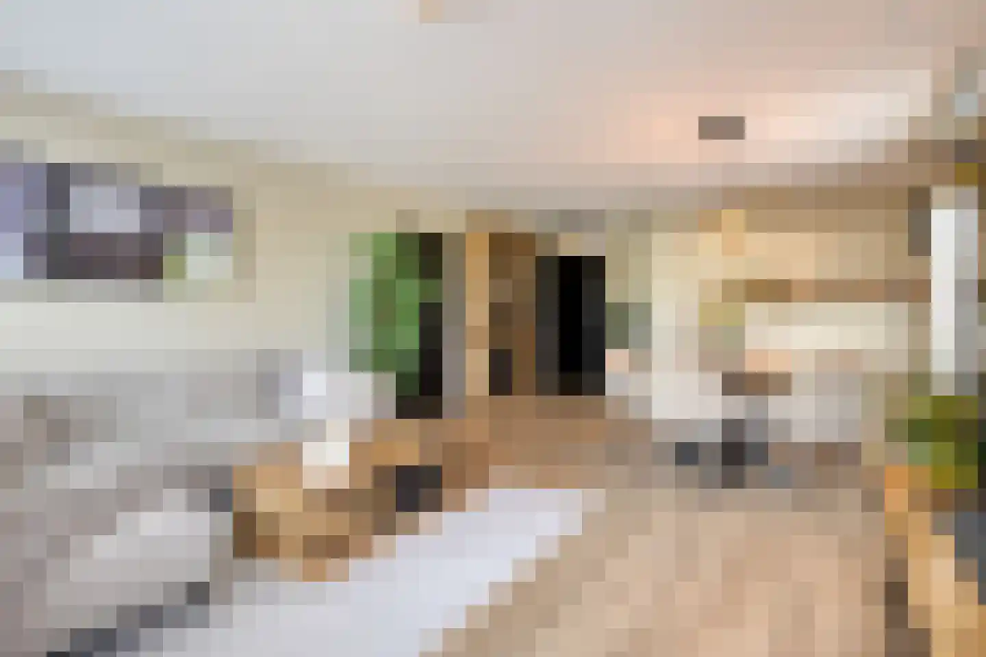 Statenkwartier 96 's-Hertogenbosch thumbnail 7