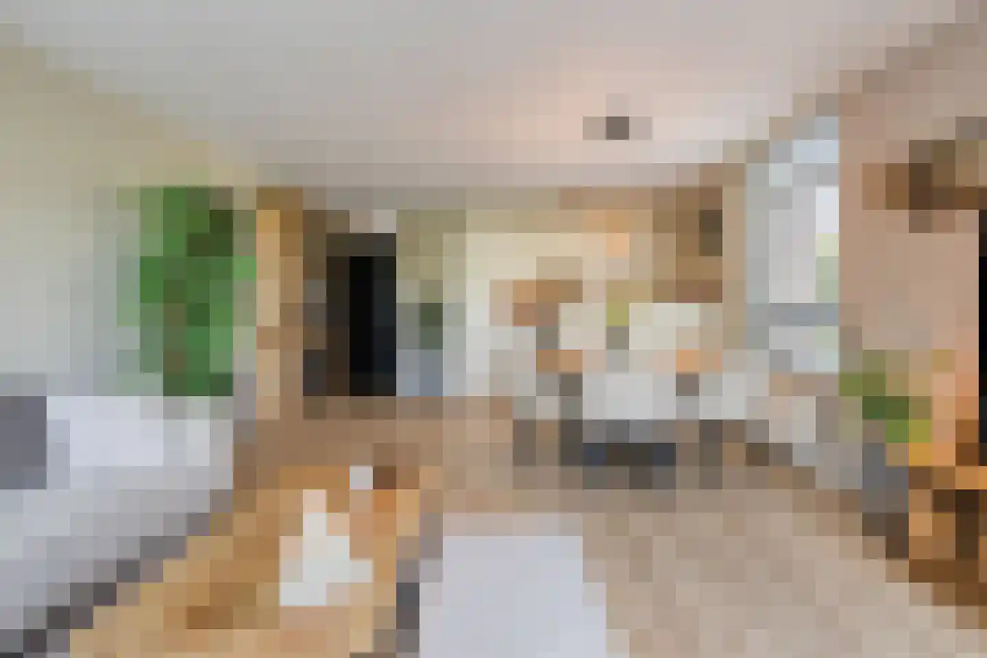 Statenkwartier 96 's-Hertogenbosch thumbnail 8