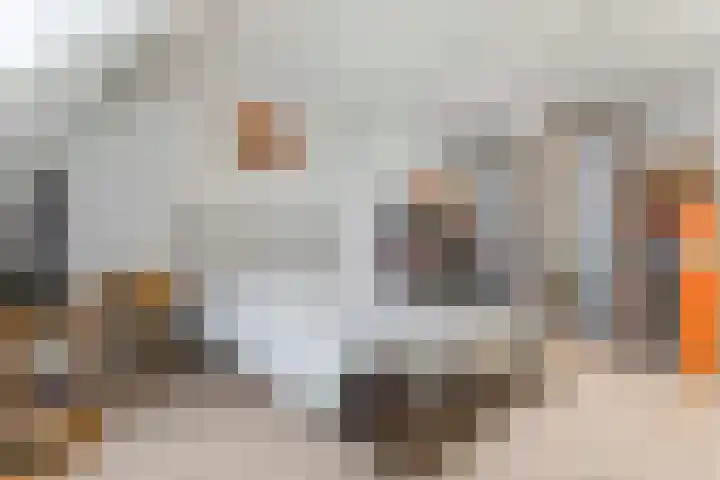 Statenlaan 10 Helmond thumbnail 25