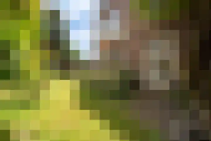Statenlaan 101 Den Haag thumbnail 14