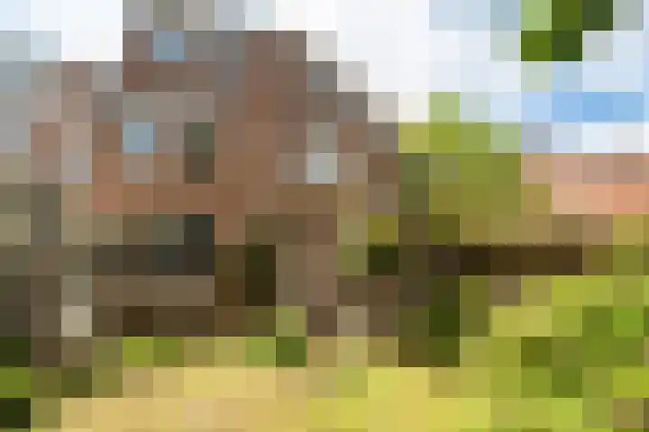 Statenlaan 101 Den Haag thumbnail 15
