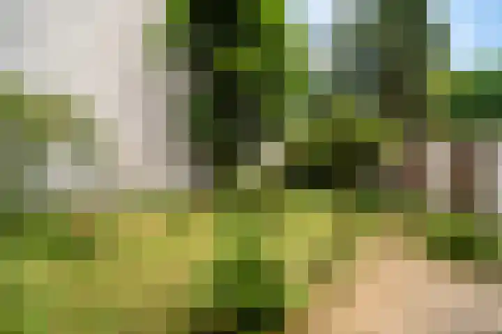 Statenlaan 101 Den Haag thumbnail 17