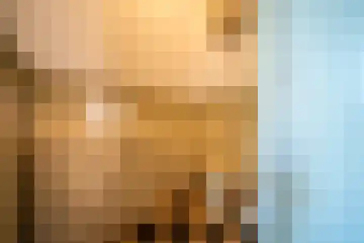 Statenlaan 101 Den Haag thumbnail 29