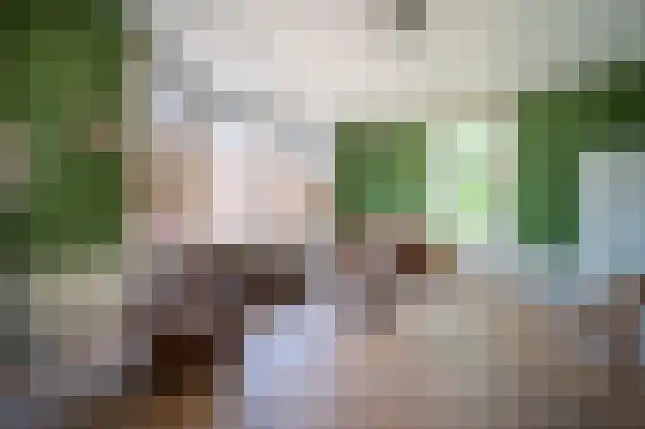 Statenlaan 101 Den Haag thumbnail 34