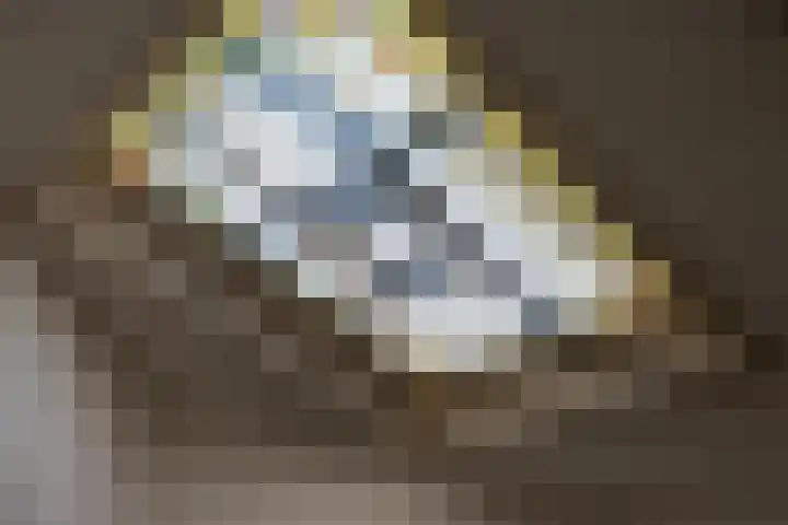 Statenlaan 101 Den Haag thumbnail 39