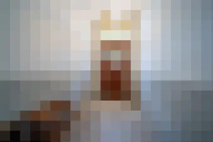 Statenlaan 101 Den Haag thumbnail 4