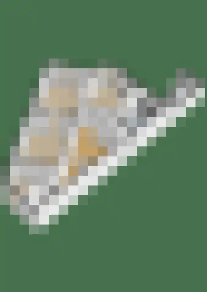 Statenlaan 101 Den Haag thumbnail 55