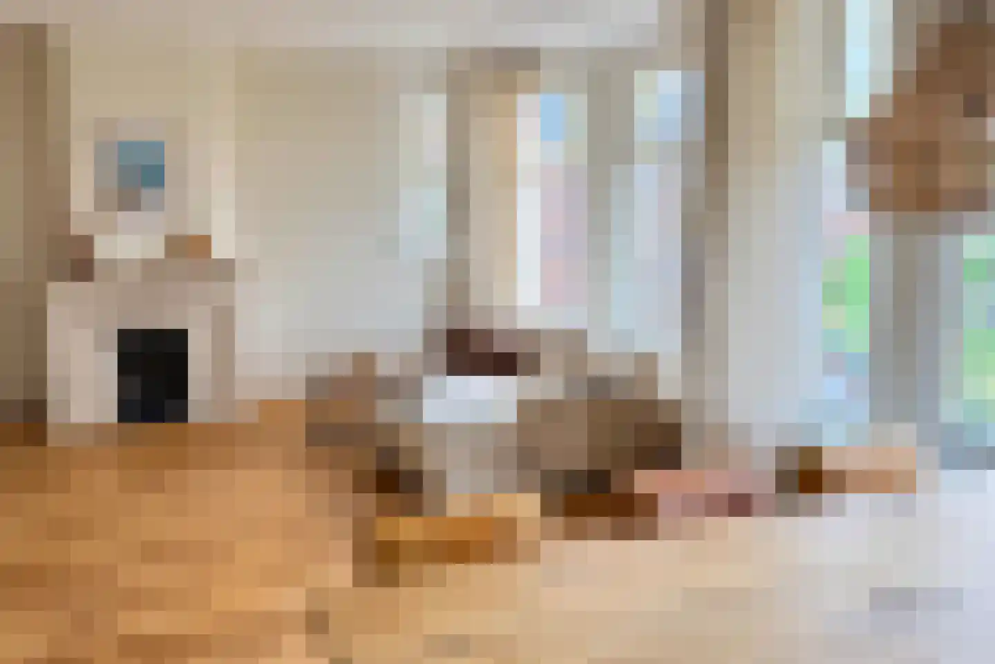 Statenlaan 103 B Den Haag thumbnail 10