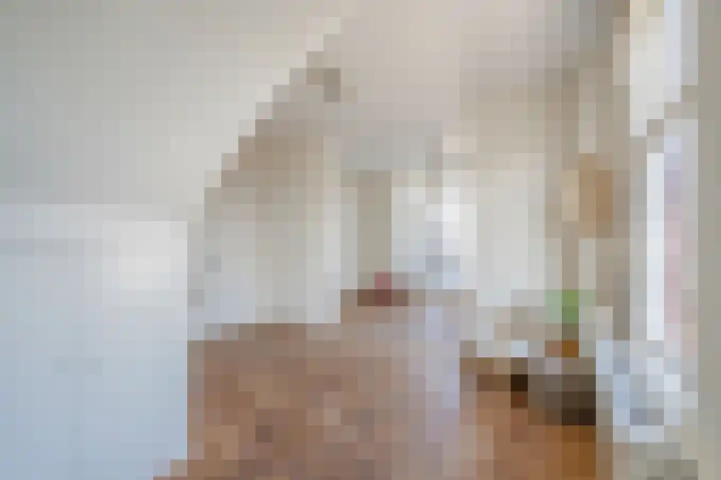 Statenlaan 103 B Den Haag thumbnail 23
