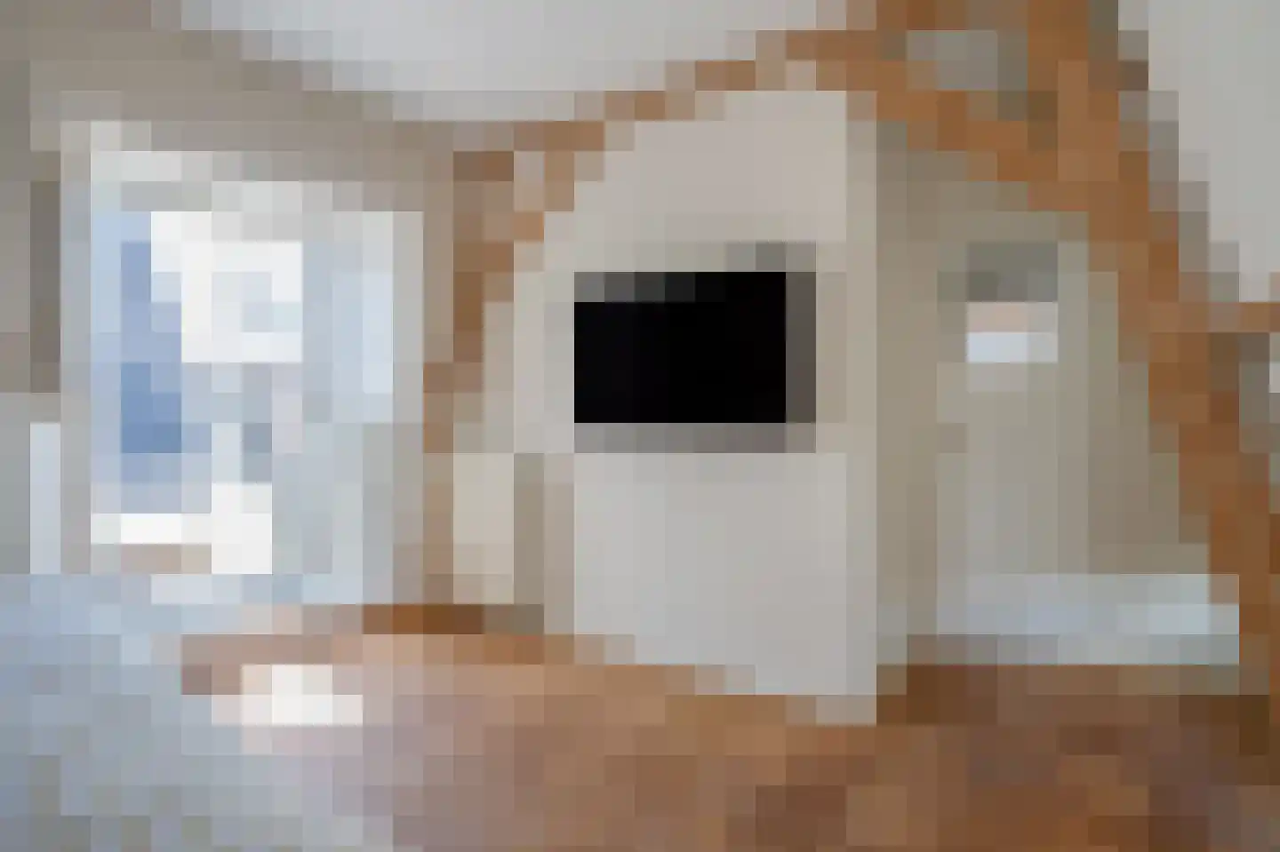 Statenlaan 103 B Den Haag thumbnail 37