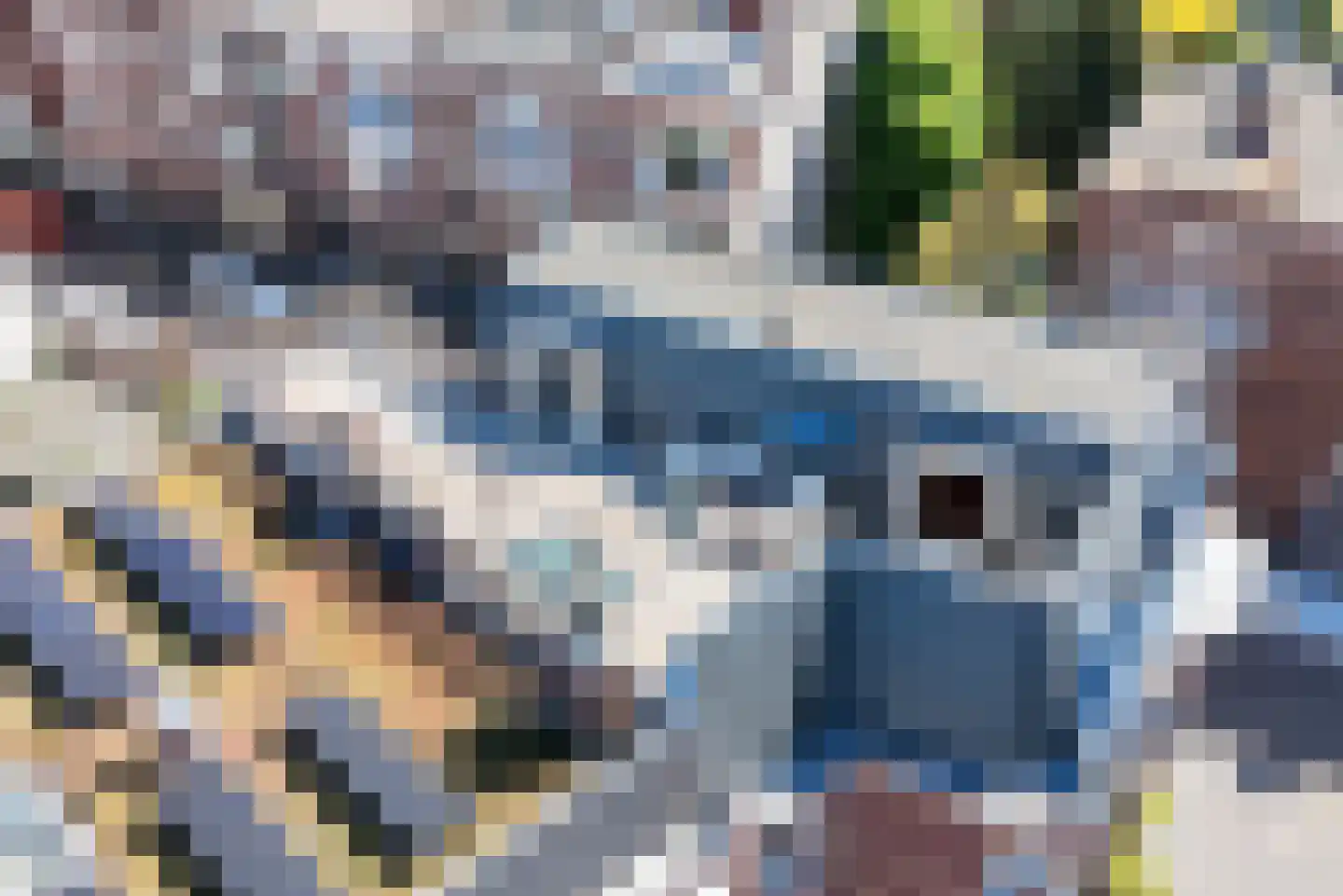 Statenlaan 103 B Den Haag thumbnail 48