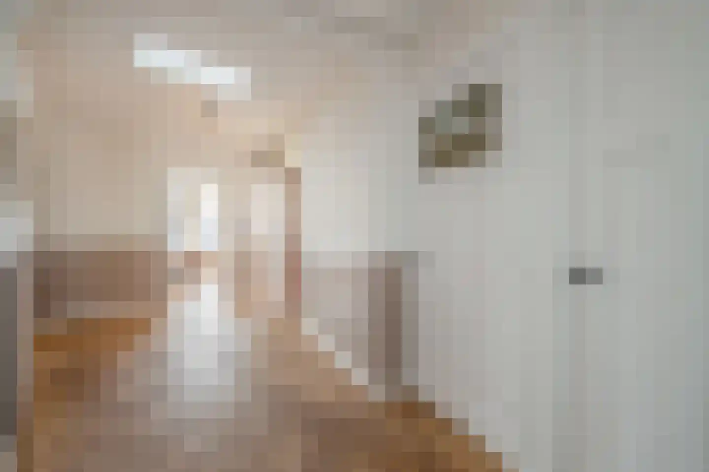 Statenlaan 103 B Den Haag thumbnail 5