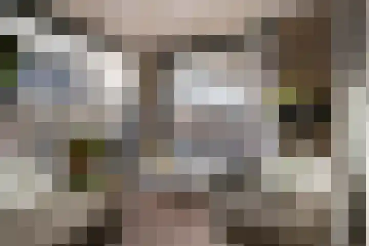 Statenlaan 108 Helmond thumbnail 4
