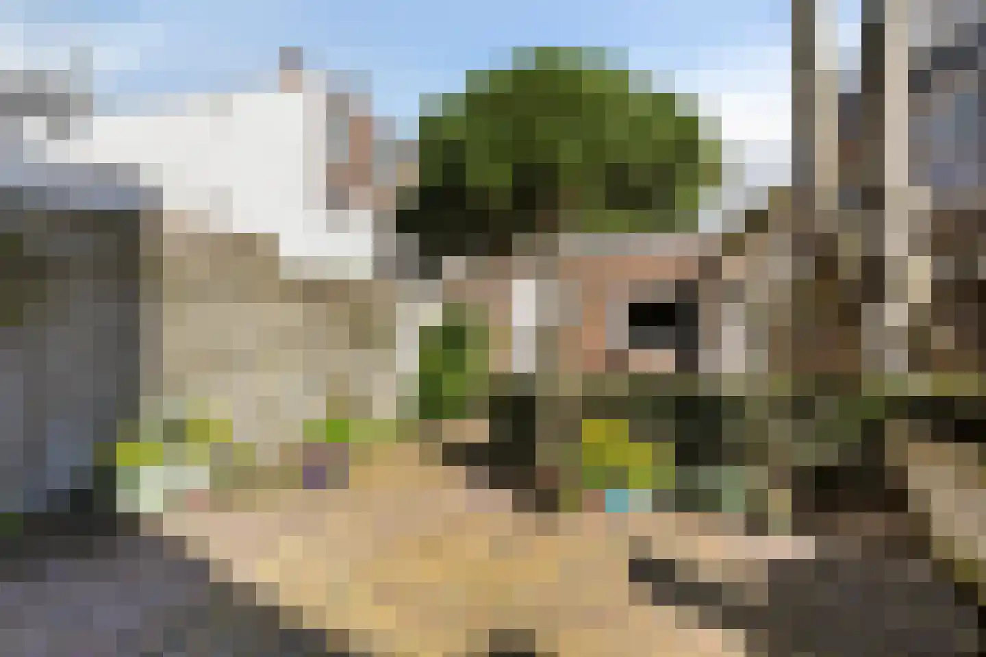 Statenlaan 109 Den Haag thumbnail 16